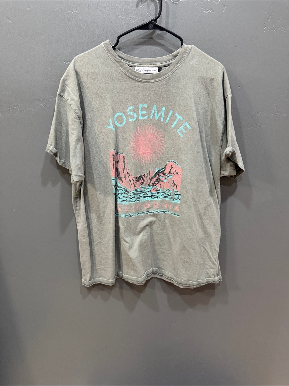 Free People Yosemite Graphic Tee in Gray with Pink and Aqua Print